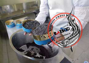 صادرات گوشت ماهی خاویاری