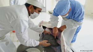 صادرات خاویار پرورشی