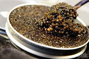 صادرات خاویار طلایی