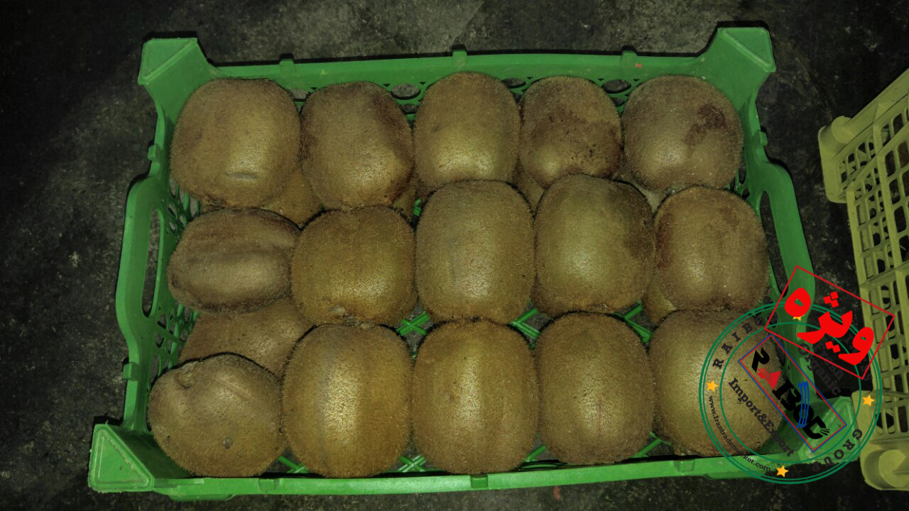 صادرات میوه کیوی