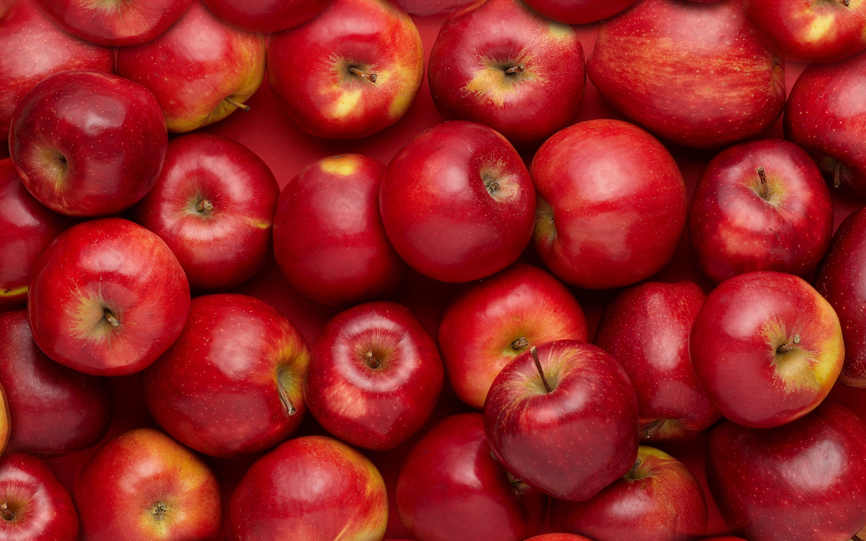 صادرات سیب قرمز