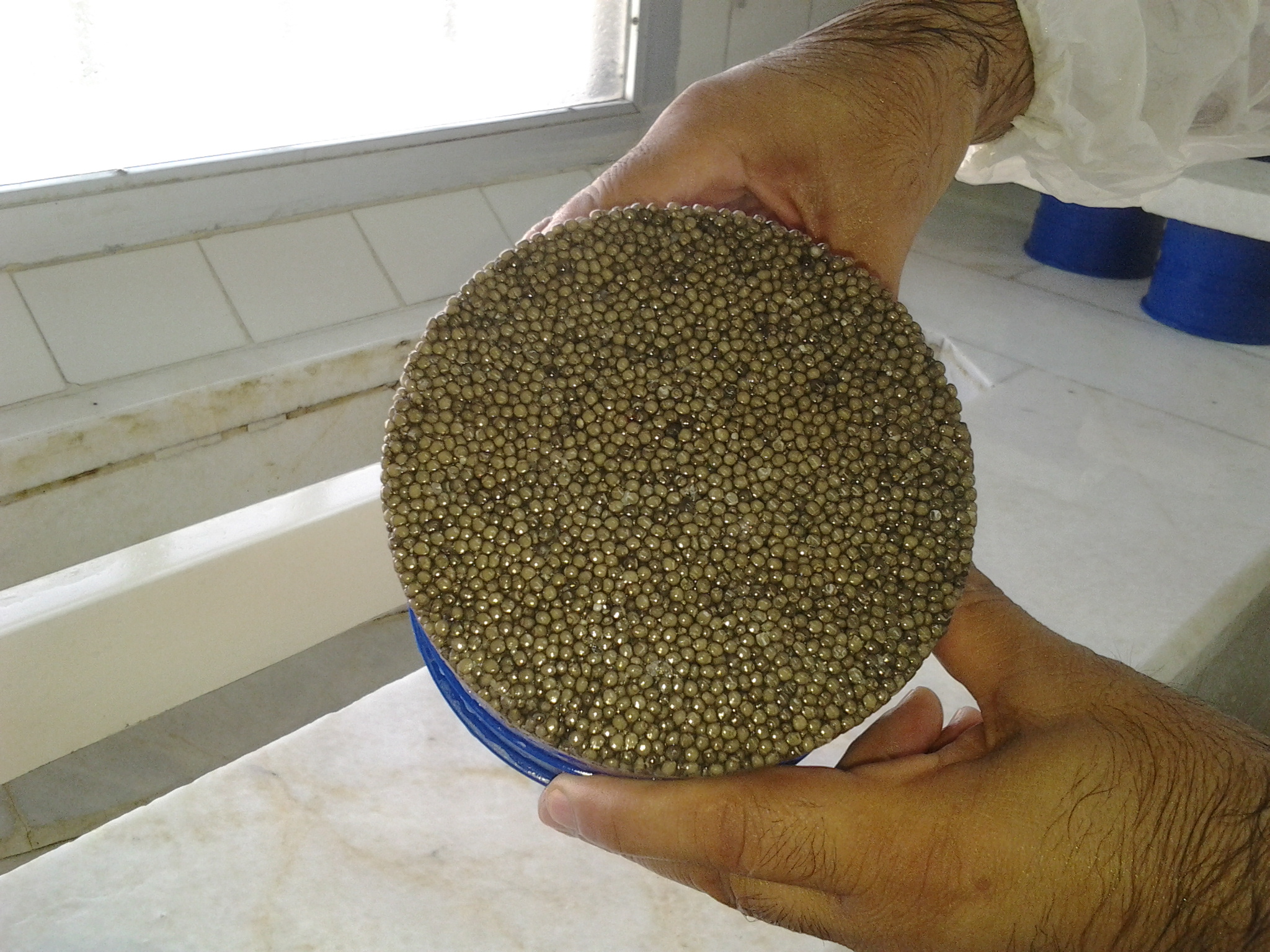 بهترین خاصیت خاویار طلایی برای کودکان