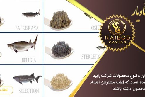 خرید انواع خاویار در تهران