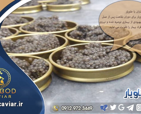 نمایندگی تولید بهترین خاویار