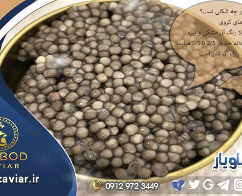 سایت آنلاین برای خرید خاویار بری