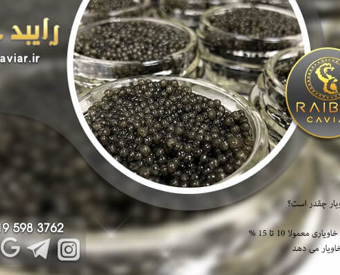قیمت فروش خاویار بری
